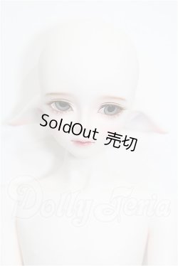 画像1: LUTS/Kid45 Delf KAI ELF 2 ver. Limited S-26-05-03-202-TO-ZS