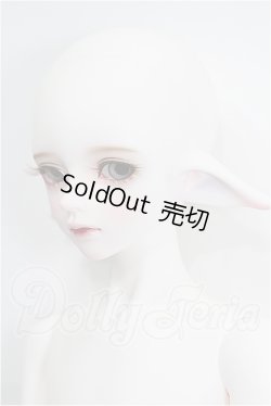 画像2: LUTS/Kid45 Delf KAI ELF 2 ver. Limited S-26-05-03-202-TO-ZS