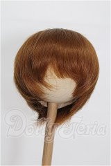 9-10inch/ウィッグ S-26-06-21-234-TO-ZS