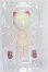 画像3: NAGI(ナギ)：交換学生/モモキツネ S-26-07-05-209-TO-ZS (3)