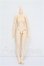 画像1: azone/ピュアニーモ2フィールボディ S-26-05-10-335-TO-ZS (1)