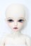 画像1: Myoudoll/Michelle S-26-05-10-102-TO-ZS (1)