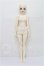 画像4: Myoudoll/Michelle S-26-05-10-102-TO-ZS (4)