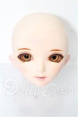 PARABOX/ヘンゼルヘッド(PB45-03) S-26-05-10-127-TO-ZS