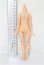 画像2: azone/ピュアニーモフレクションXS女の子ボディ S-26-05-17-222-YB-ZS (2)