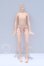 画像1: azone/ピュアニーモフレクションXS女の子ボディ S-26-08-30-057-YB-ZS (1)