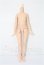 画像1: azone/ピュアニーモフレクションXS女の子ボディ S-26-05-17-219-YB-ZS (1)