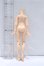 画像2: azone/ピュアニーモフレクションXS女の子ボディ S-26-09-13-023-YB-ZS (2)