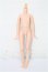 画像1: azone/ピュアニーモフレクションXS女の子ボディ S-26-05-17-225-YB-ZS (1)