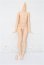 画像1: azone/ピュアニーモフレクションXS女の子ボディ S-26-05-17-224-YB-ZS (1)