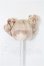 画像1: 3.5inch-4inch/ウィッグ S-26-05-10-199-TO-ZS (1)