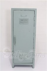 1/6サイズドール/ミニチュア S-26-05-10-346-TO-ZS