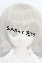 DDS/DDH-04ヘッド＋ボディ S-26-08-02-523-YB-ZS