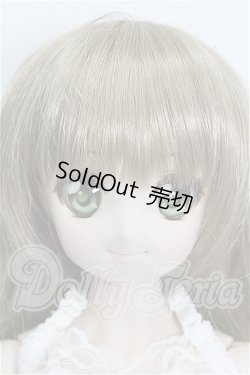 画像1: DDS/DDH-04ヘッド＋ボディ S-26-08-02-523-YB-ZS