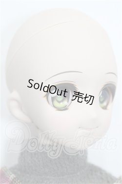 画像4: DDS/DDH-04ヘッド＋ボディ S-26-05-24-201-YB-ZS