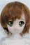 画像1: DDP/DDH-04ヘッド＋ボディ S-26-05-24-206-YB-ZS (1)