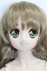 DDS/DDH-04ヘッド＋ボディ S-26-05-24-202-YB-ZS