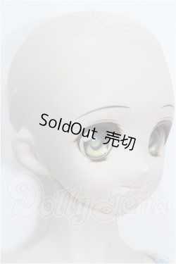 画像4: DD/DDH-04ヘッド＋ボディ S-26-08-02-525-YB-ZS