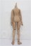 画像2: imomodoll/1/4 Boy Body (??狗) S-26-07-12-111-TO-ZS (2)