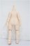 画像2: IMOMODOLL/1/6 Body 冬瓜体 S-26-07-19-116-TO-ZS (2)