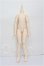 画像1: imomodoll/1/4 Boy Body (??狗) S-26-07-12-109-TO-ZS (1)