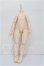 画像1: IMOMODOLL/1/4 Girl Body (肉肉) S-26-07-12-112-TO-ZS (1)