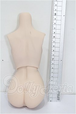 画像2: DD/上半身&下半身パーツ S-26-05-17-321-TO-ZS