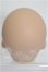 画像4: IMOMODOLL/Canis-A Head S-26-05-24-217-TO-ZS (4)