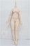 画像1: IMOMODOLL/1/4/Girlボディ S-26-05-24-109-TO-ZS (1)