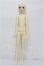 画像4: Myou Doll/1/4 Wind S-26-05-17-303-TO-ZS (4)