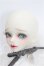 画像3: MYOUDOLL/Lris S-26-05-17-302-TO-ZS (3)