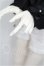 画像7: RS　DOLL/Verroky 黒猫 ver. Limited S-26-05-17-301-TO-ZS (7)