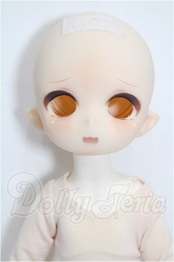 画像1: TinyFox/1/6カスタムヘッド(C-12)+ボディ S-26-05-24-108-TO-ZS
