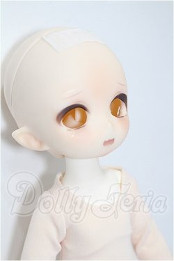 画像3: TinyFox/1/6カスタムヘッド(C-12)+ボディ S-26-05-24-108-TO-ZS