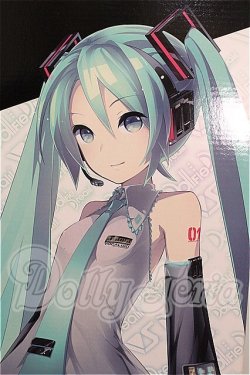 画像1: DD/初音ミク Reboot S-26-05-24-102-TO-ZS