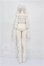 画像5: Gem of Doll/Mira S-26-05-24-253-TO-ZS (5)