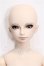 画像1: VISUADOLL/一条悠斗NEXT S-26-05-24-252-TO-ZS (1)