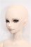 画像2: VISUADOLL/一条悠斗NEXT S-26-05-24-252-TO-ZS (2)