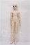 画像4: VISUADOLL/一条悠斗NEXT S-26-05-24-252-TO-ZS (4)