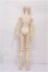 画像5: VISUADOLL/一条悠斗NEXT S-26-05-24-252-TO-ZS (5)