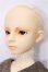 画像2: SD13男の子/フルチョイス　F-16 S-26-05-31-101-TO-ZS (2)