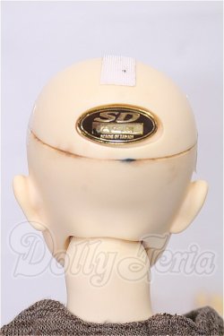 画像4: SD13男の子/フルチョイス　F-16 S-26-05-31-101-TO-ZS