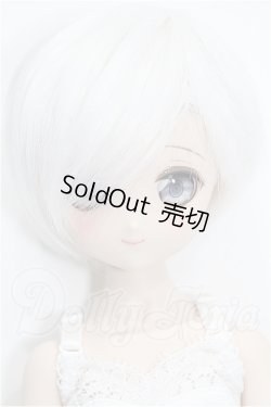 画像1: MDD/ドリームチョイス:DC-H-17 S-26-06-07-106-YB-ZS