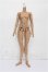 画像1: Coral Reef Doll/1/4 Girl Body S-26-05-31-207-TO-ZS (1)