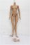 画像3: Coral Reef Doll/1/4 Girl Body S-26-05-31-207-TO-ZS (3)