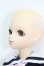 画像3: BlueFairy/TF:Sarang S-26-05-31-302-TO-ZS (3)