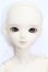画像1: BLUE FAIRY/TF:Emilie S-26-05-31-303-TO-ZS (1)