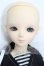 画像2: BF/TF：Tommy S-26-06-07-102-TO-ZS (2)