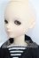 画像3: BF/TF：Tommy S-26-06-07-102-TO-ZS (3)