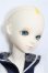 画像3: BF/TF：Tommy S-26-06-07-104-TO-ZS (3)